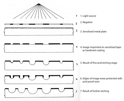Flader diagram w text_72dpi