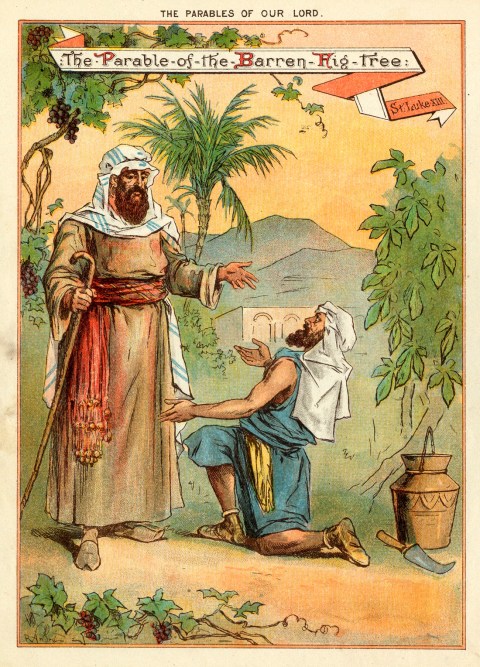 Back cover Nov 14_small