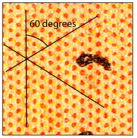 Red dots 60 deg Close up w lines B